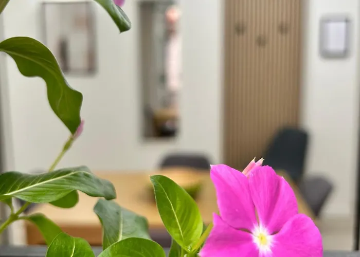 Appartamento Tezone Seven *