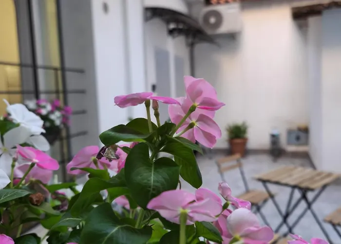 Tezone Seven * Verona